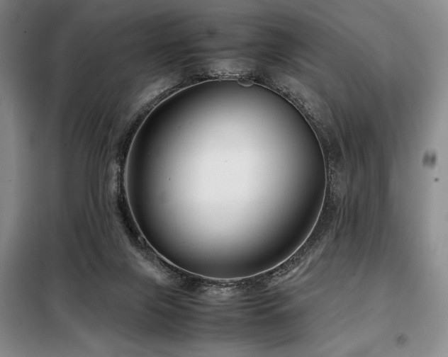 X0000099310071200805021324