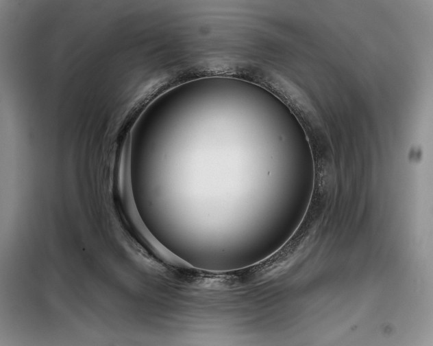 X0000099310072200805021324