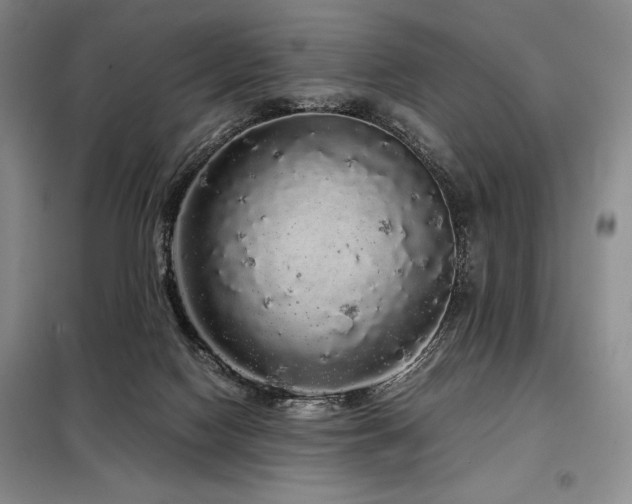 X0000099310074200805021324