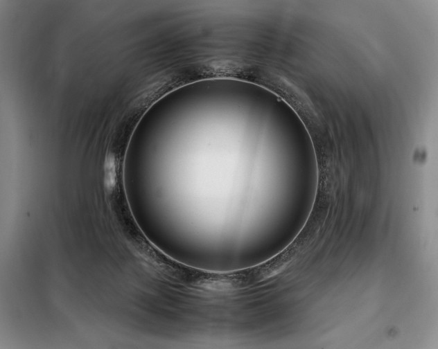 X0000099310075200805021324
