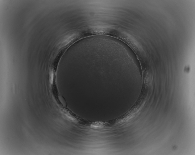 X0000099310076200805021324