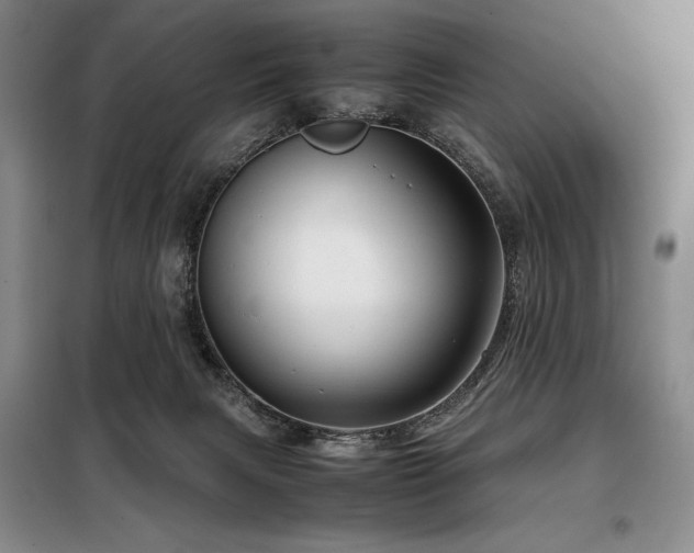 X0000099310079200805021324
