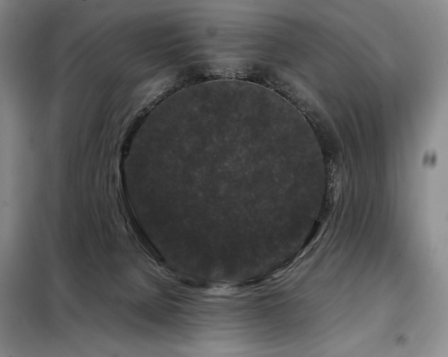 X0000099310080200805021324
