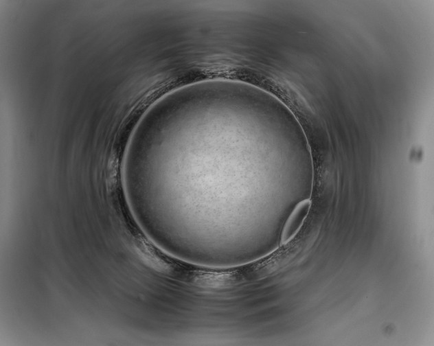 X0000099310081200805021324