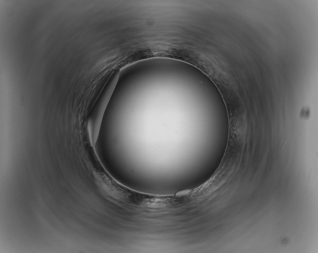 X0000099310082200805021324