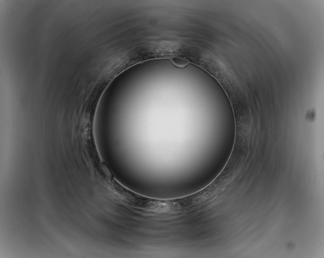 X0000099310083200805021324