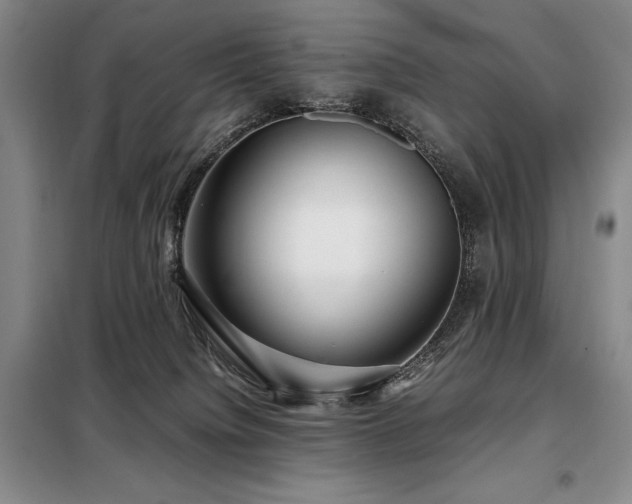 X0000099310084200805021324
