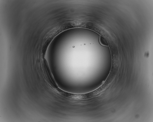 X0000099310085200805021324
