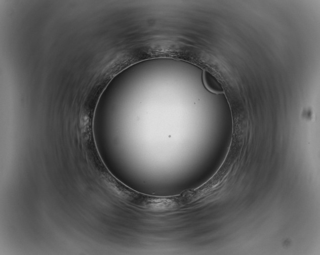 X0000099310087200805021324