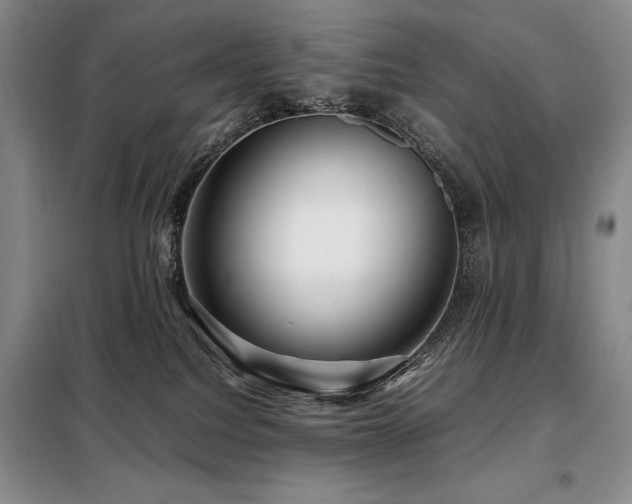 X0000099310088200805021324
