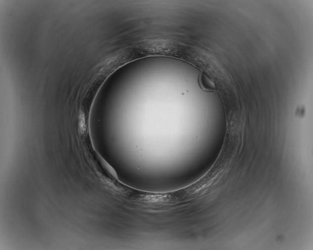 X0000099310089200805021324