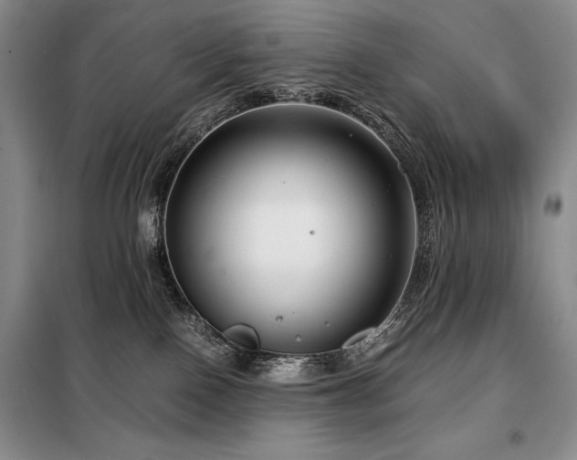 X0000099310090200805021324