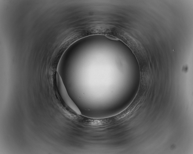 X0000099310091200805021324