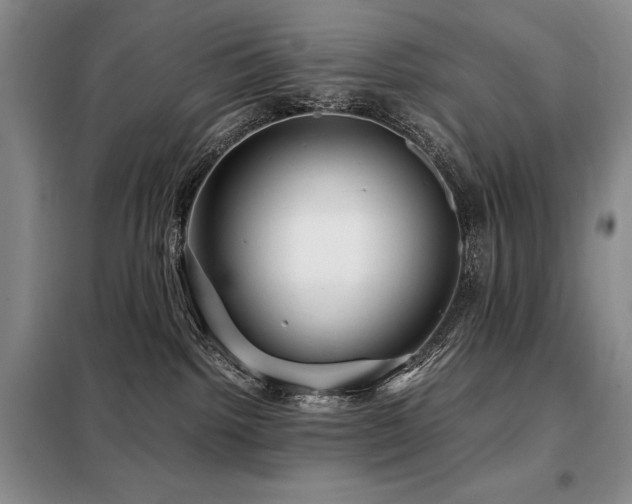 X0000099310092200805021324