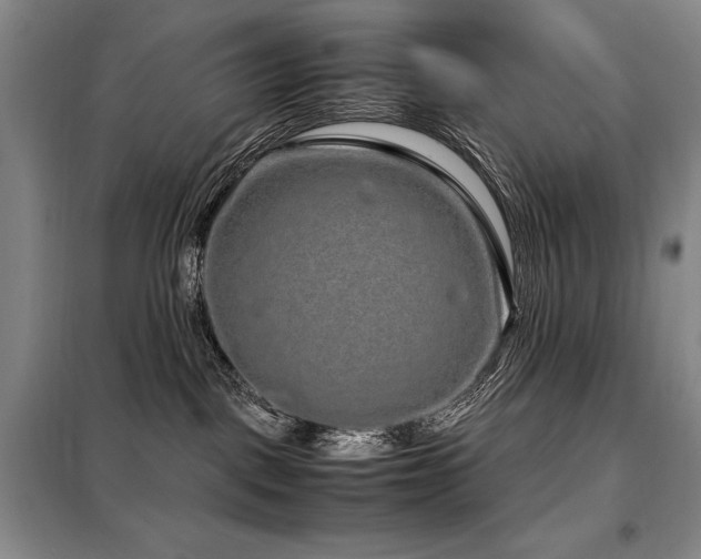 X0000099310093200805021324