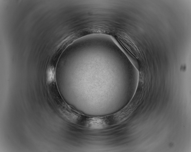 X0000099310095200805021324