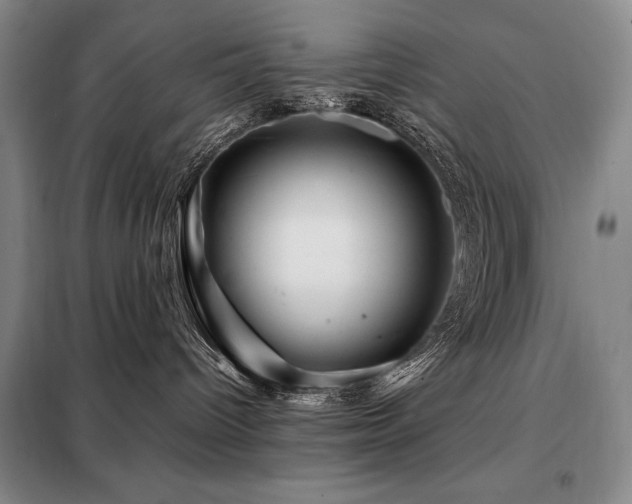 X0000099310096200805021324