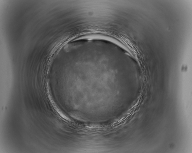 X0000099310097200805021323