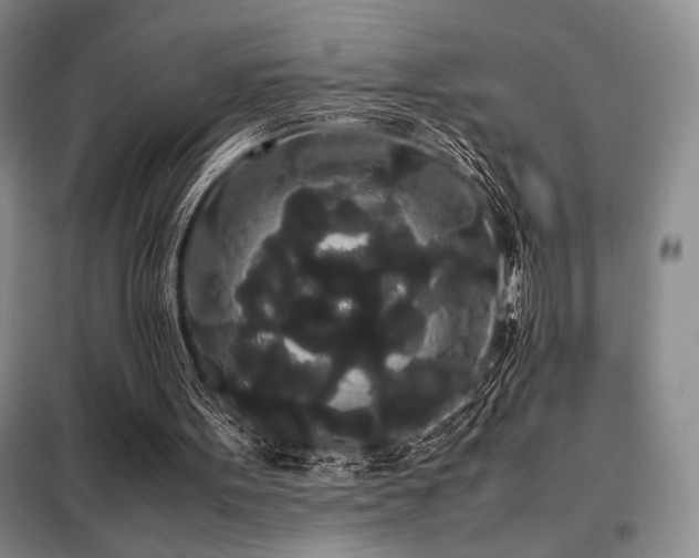 X0000099310099200805021323