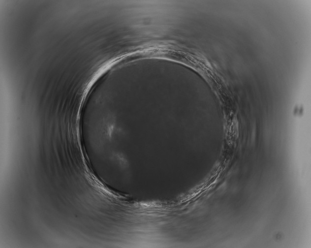 X0000099310100200805021323