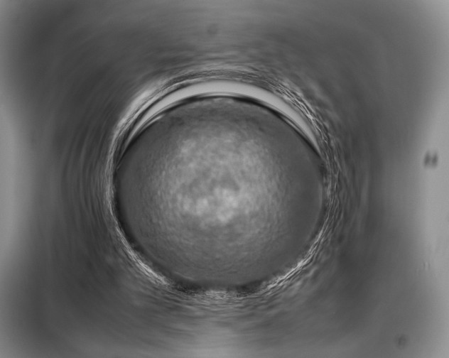 X0000099310101200805021323