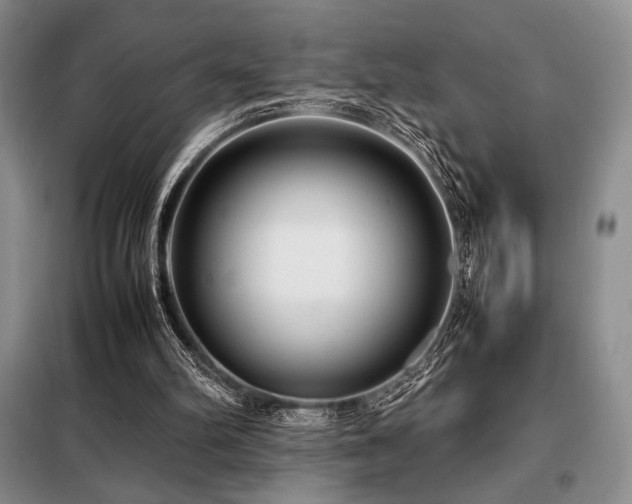 X0000099310102200805021323