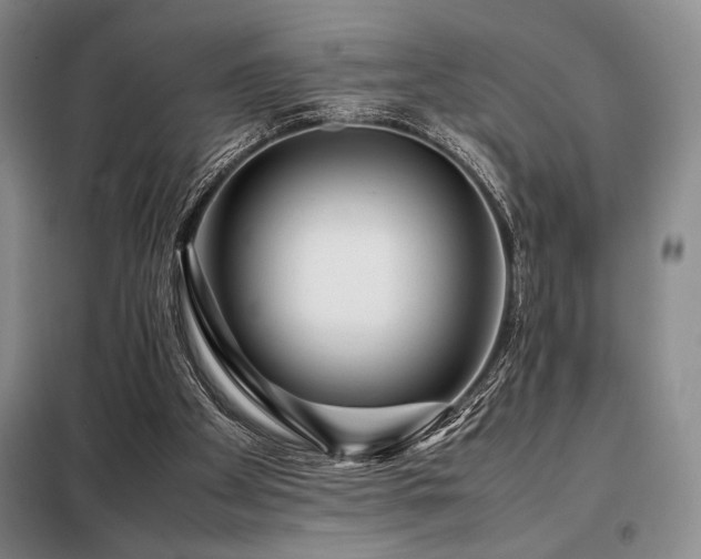 X0000099310105200805021323