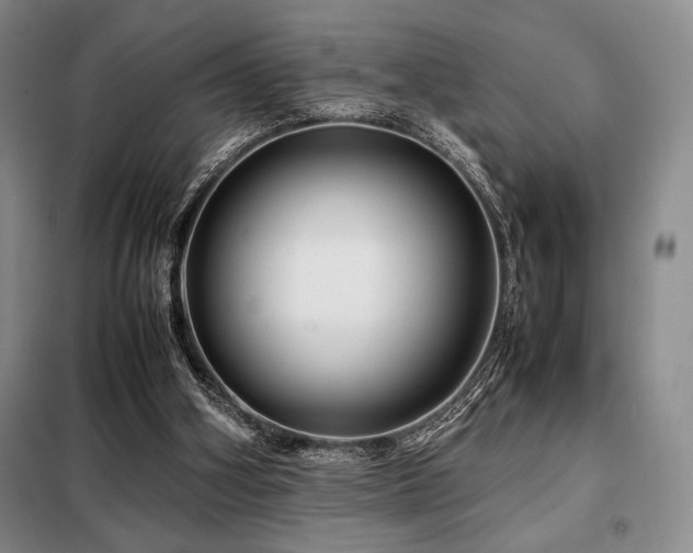 X0000099310106200805021323