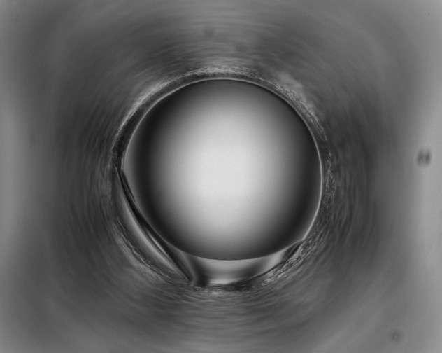 X0000099310108200805021323
