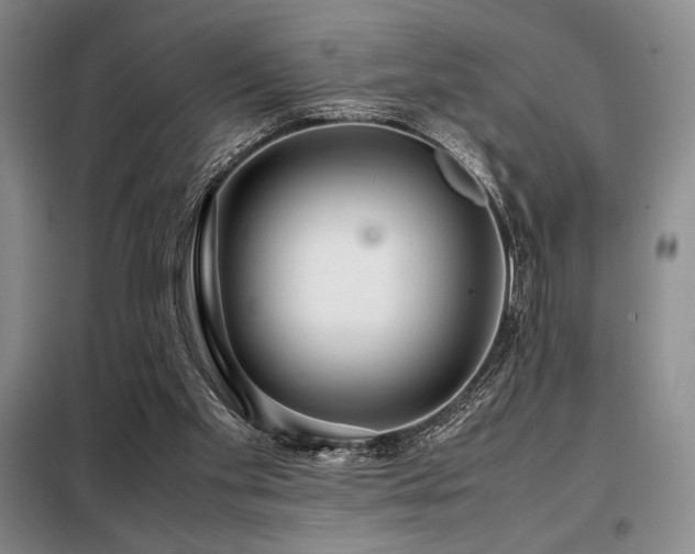 X0000099310109200805021323