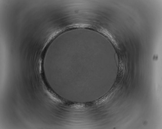 X0000099310110200805021323