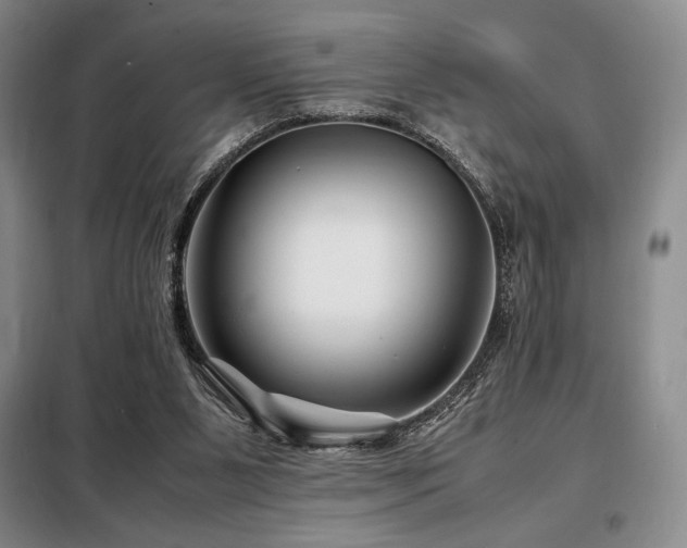 X0000099310111200805021323