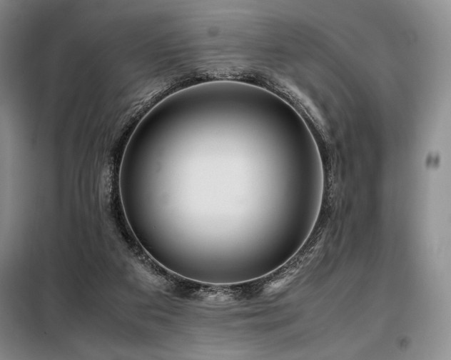 X0000099310113200805021323