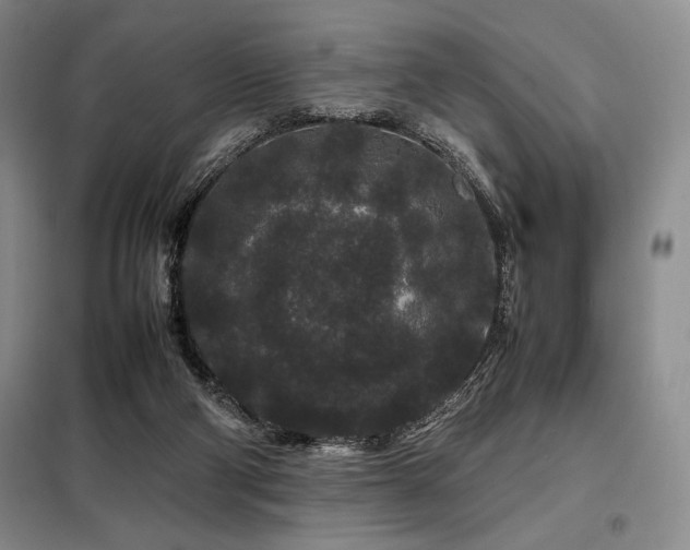 X0000099310114200805021323