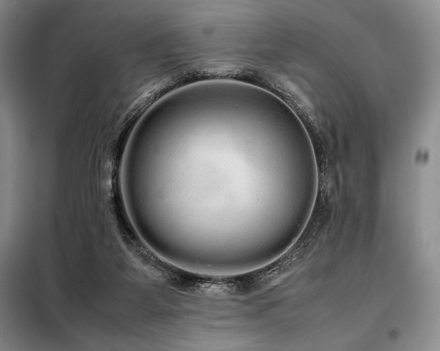 X0000099310115200805021323