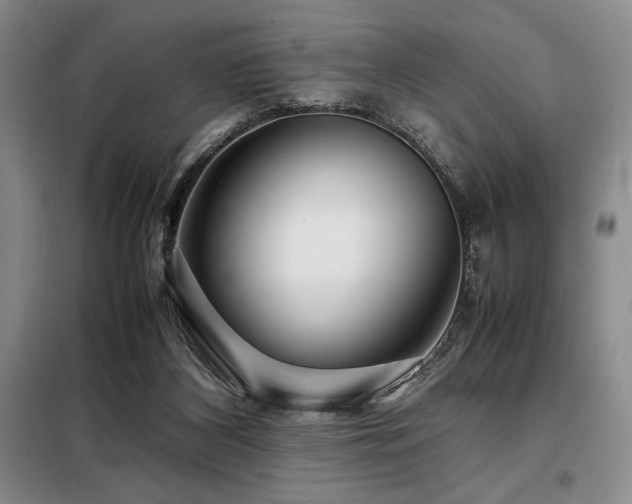 X0000099310116200805021323