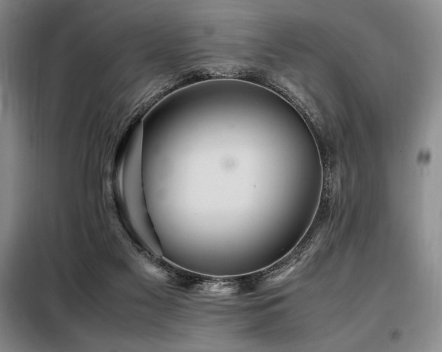 X0000099310117200805021323