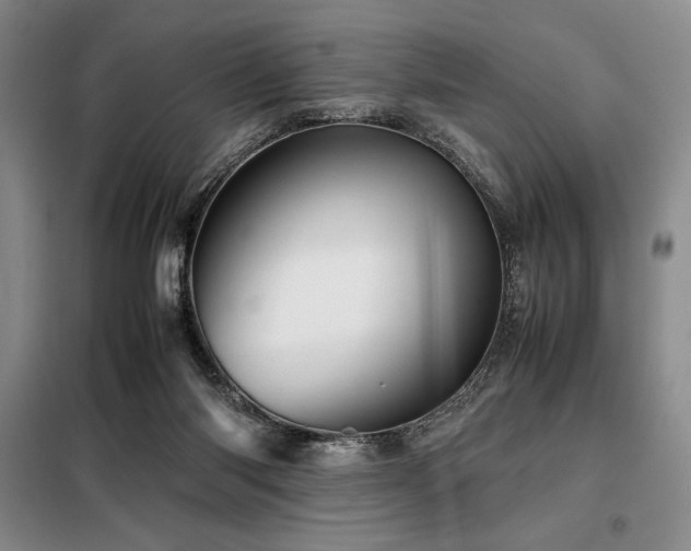 X0000099310118200805021323