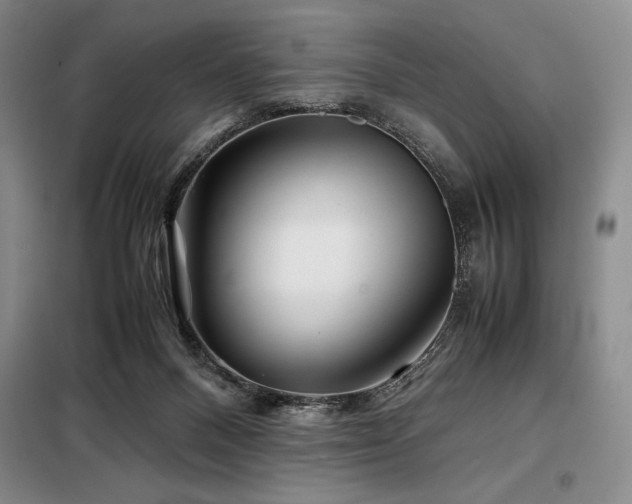 X0000099310120200805021323