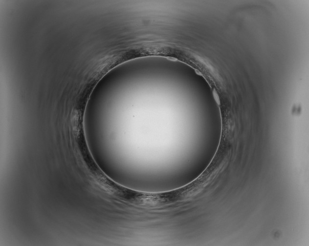 X0000099310121200805021323