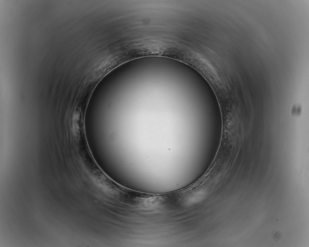 X0000099310122200805021323