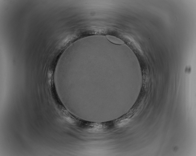 X0000099310123200805021323
