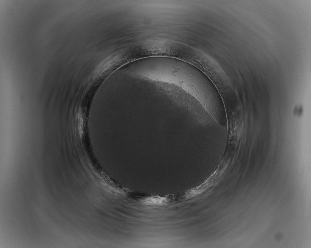X0000099310124200805021323