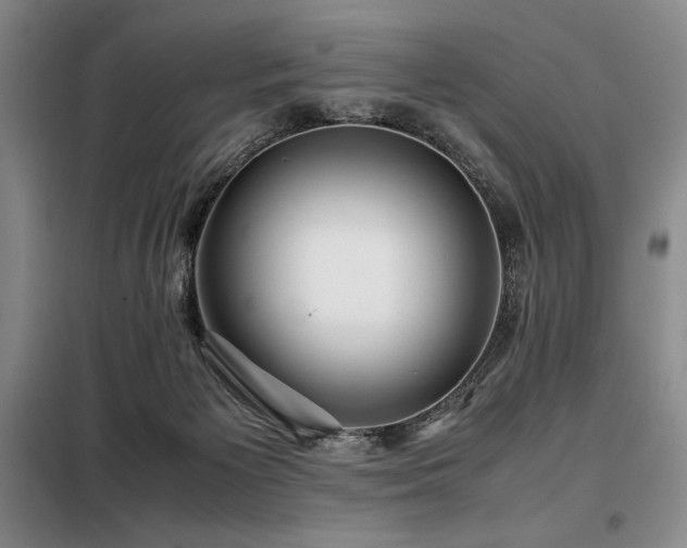 X0000099310125200805021323