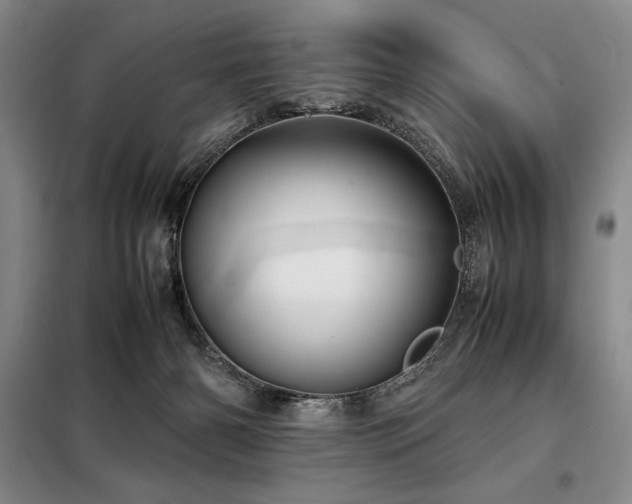 X0000099310126200805021323