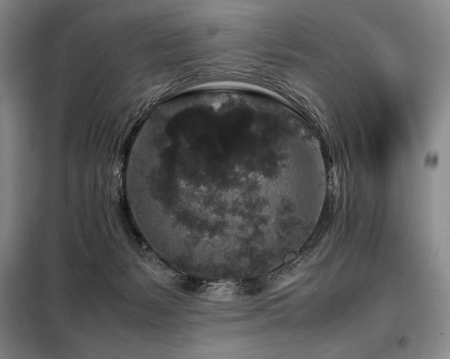X0000099310127200805021323