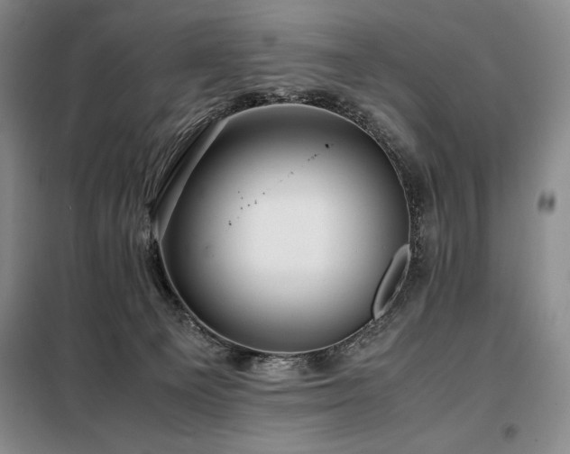 X0000099310129200805021323