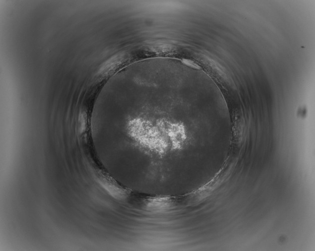 X0000099310132200805021323