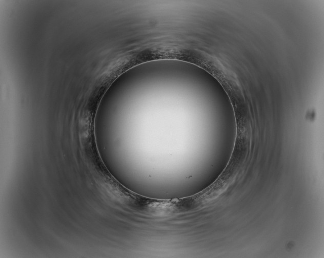 X0000099310133200805021323