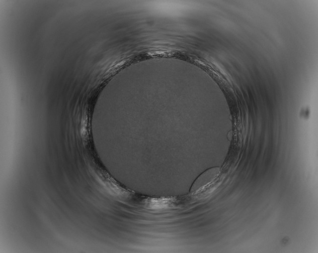 X0000099310134200805021323